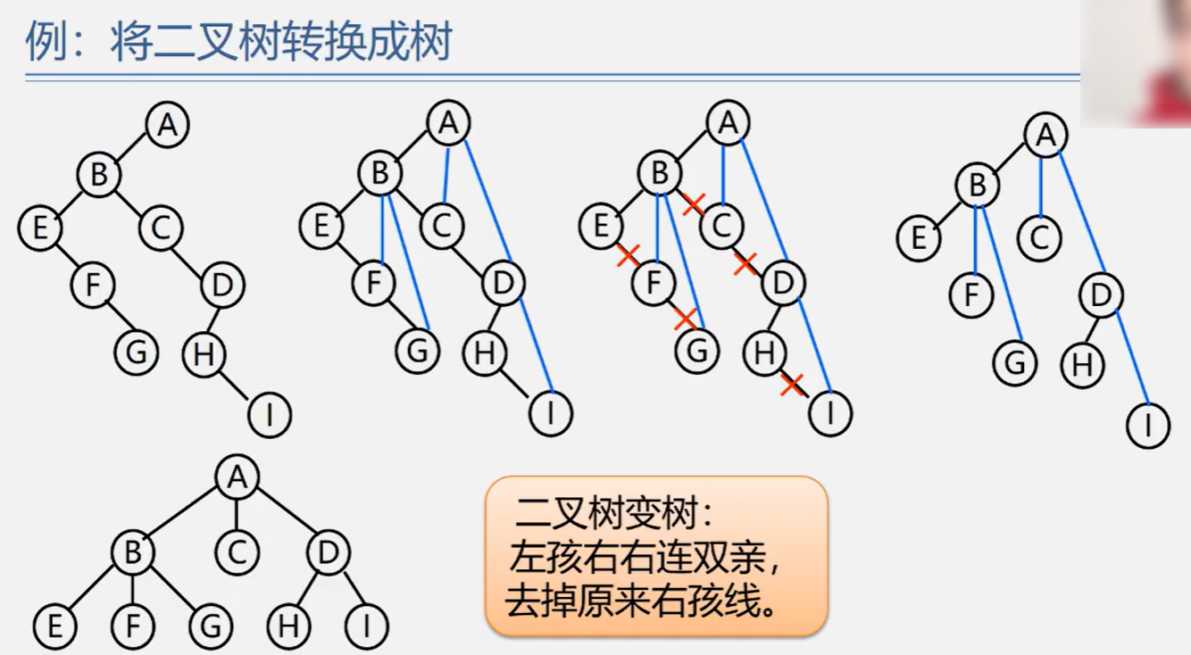 将二叉树转换成树